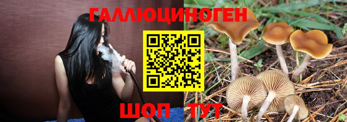 Липецк  Псилоцибиновые грибы прущие грибы  Псилоцибиновые грибы Psilocybine cubensis  Вход с VPN 