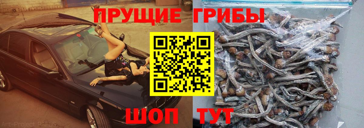 Псилоцибиновые грибы GOLDEN TEACHER Липецк