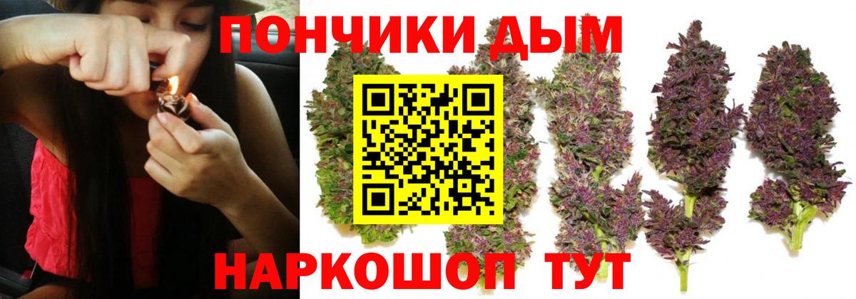 Канабис конопля Липецк